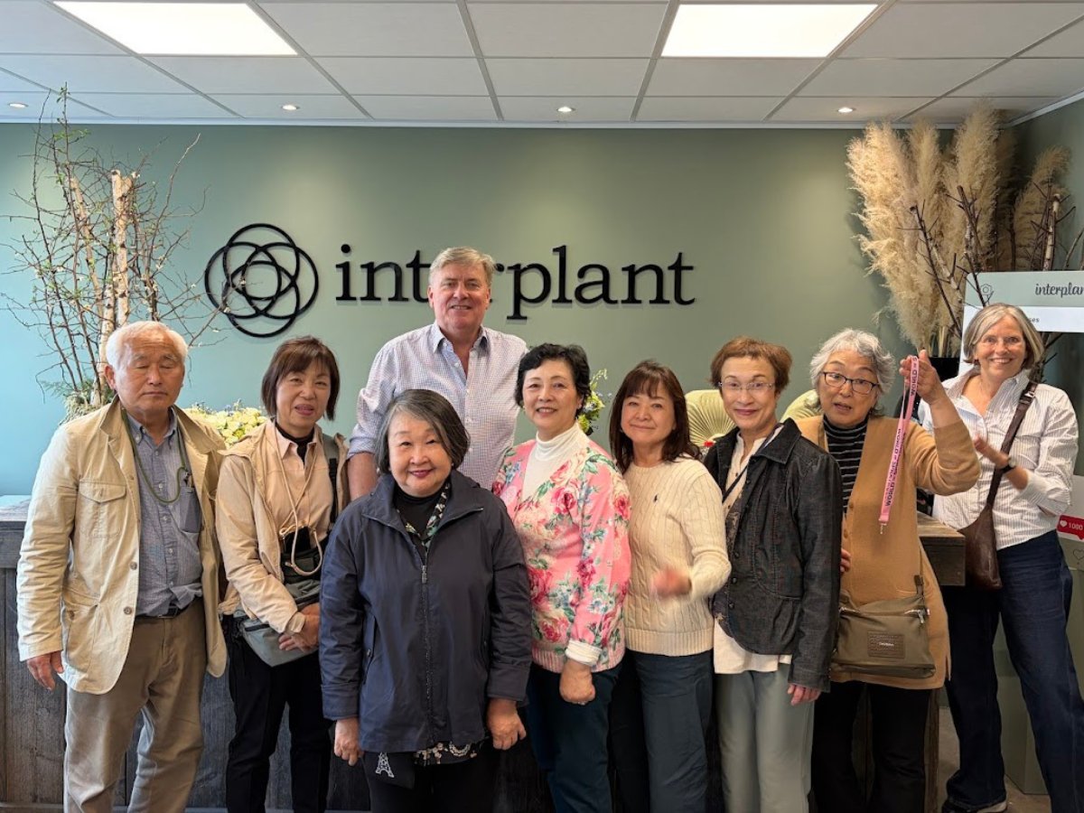 A Private Tour to Enjoy Spring Flowers in the Netherlands and Belgium