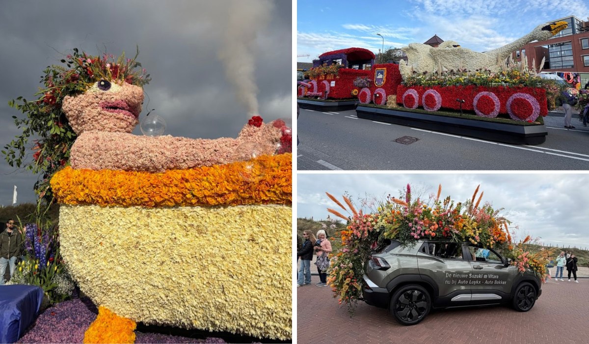 Kazuyo Asayama Blog: Netherlands and Belgium Private Tour to Enjoy Spring Flowers (April 2026).