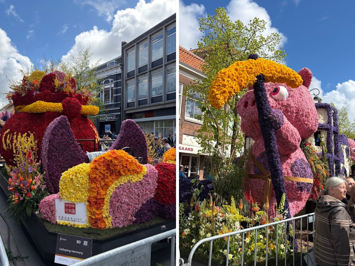 Kazuyo Asayama Blog: Netherlands and Belgium Private Tour to Enjoy Spring Flowers (April 2026).
