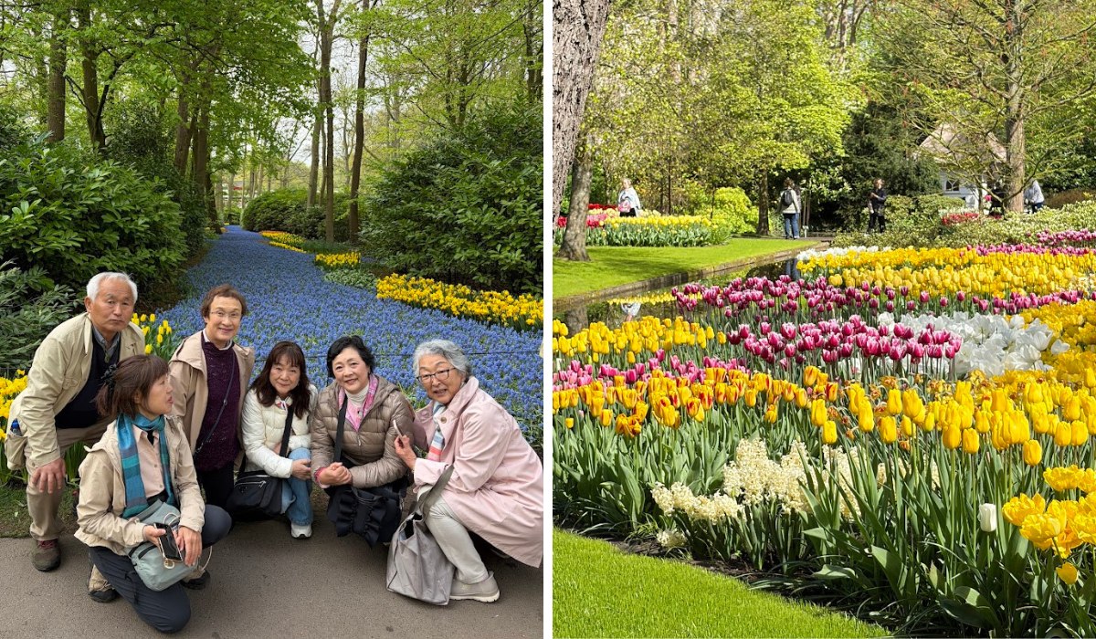 Kazuyo Asayama Blog: Netherlands and Belgium Private Tour to Enjoy Spring Flowers (April 2026).