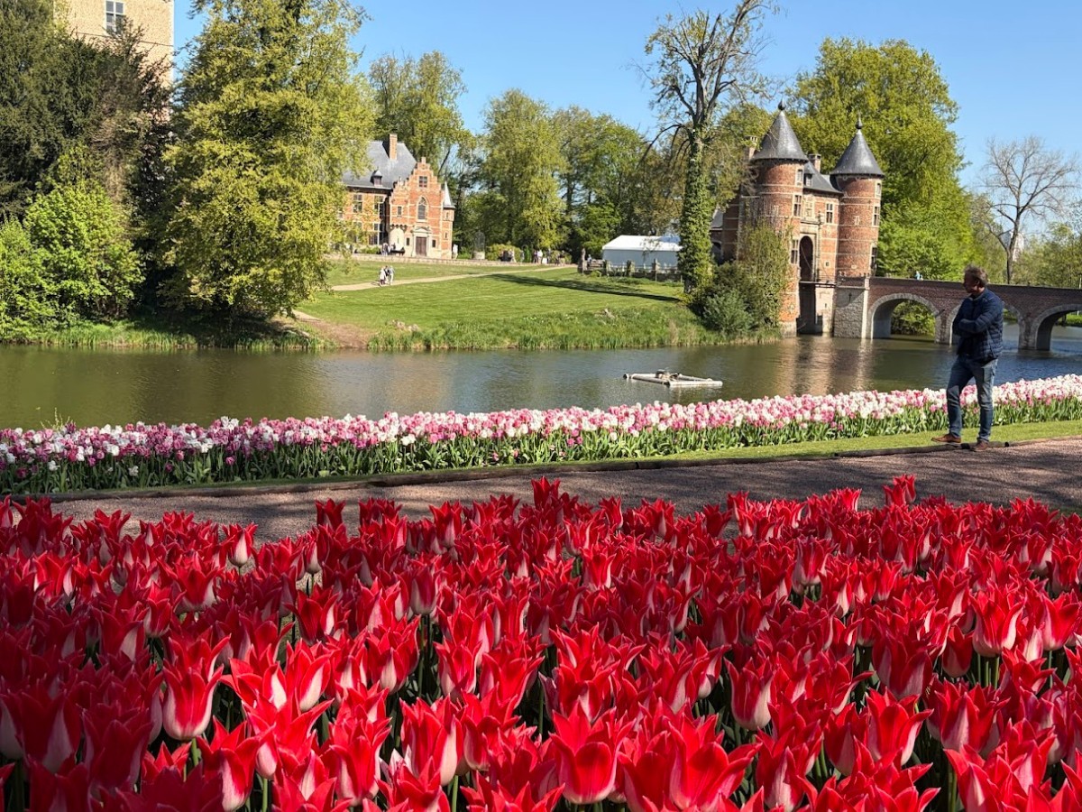 Kazuyo Asayama Blog: Netherlands and Belgium Private Tour to Enjoy Spring Flowers (April 2026).