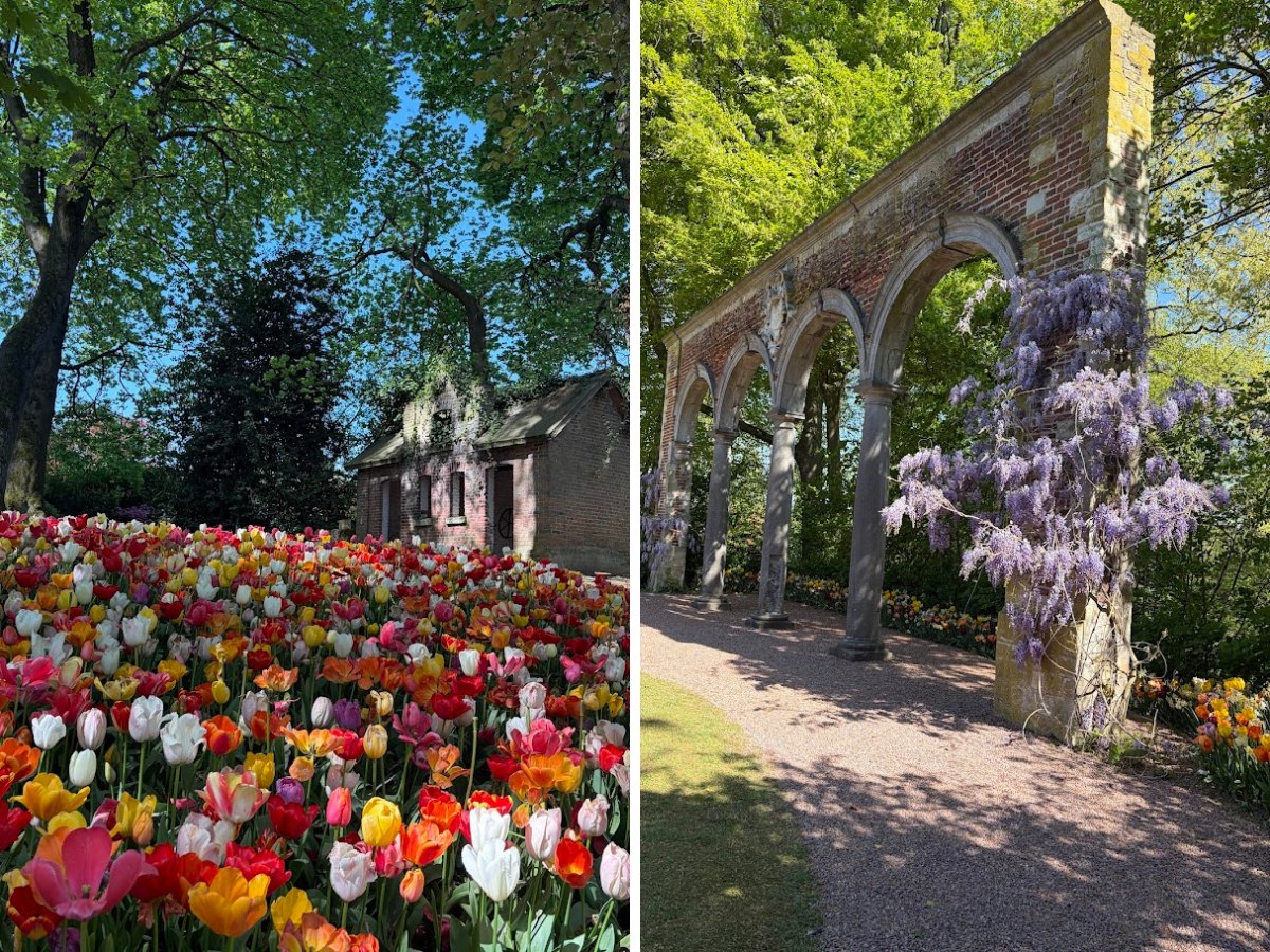Kazuyo Asayama Blog: Netherlands and Belgium Private Tour to Enjoy Spring Flowers (April 2026).