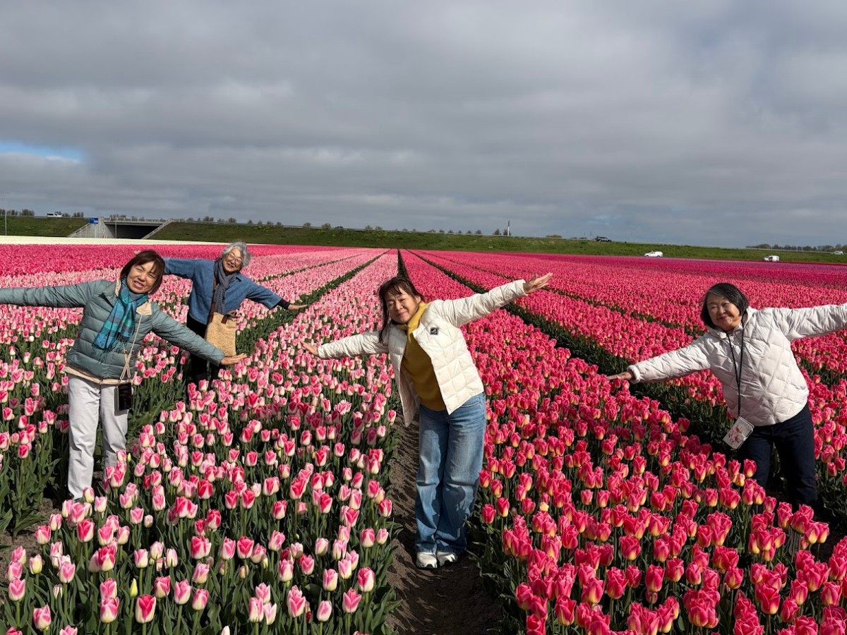 Kazuyo Asayama Blog: Netherlands and Belgium Private Tour to Enjoy Spring Flowers (April 2026).