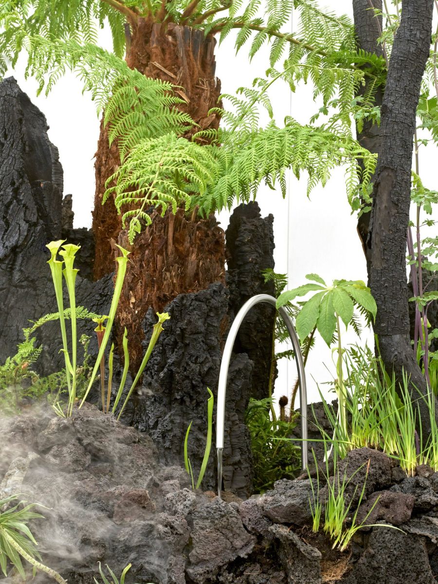 Closeup of green plants installed in Slow Dream Closeup of green plants installed in Slow Dream
