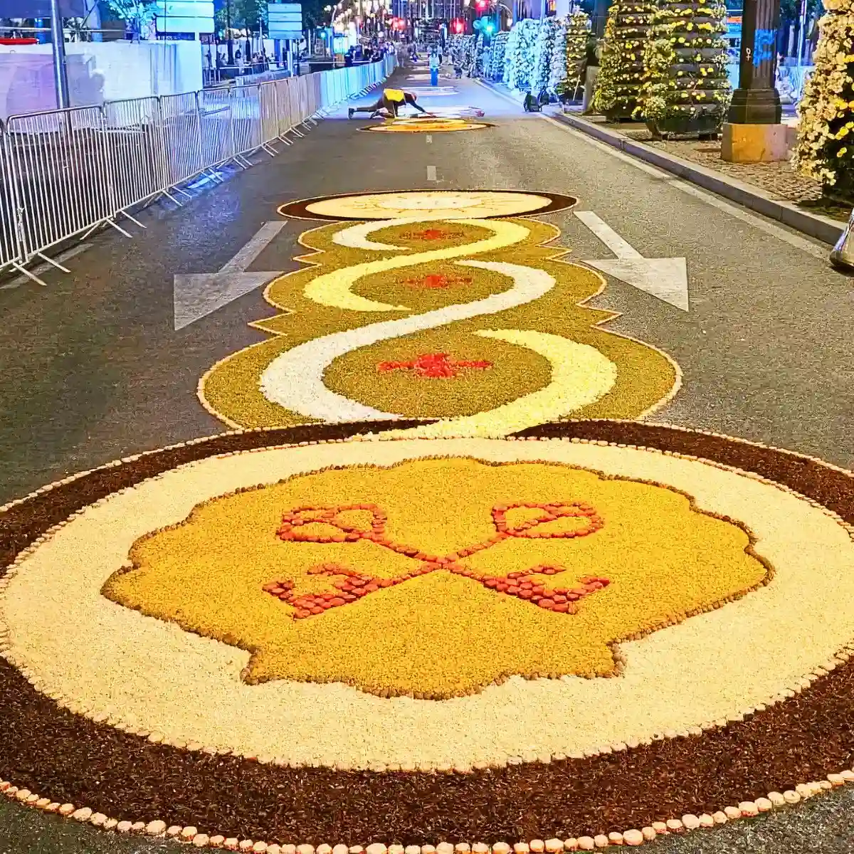 Carnation flower rugs