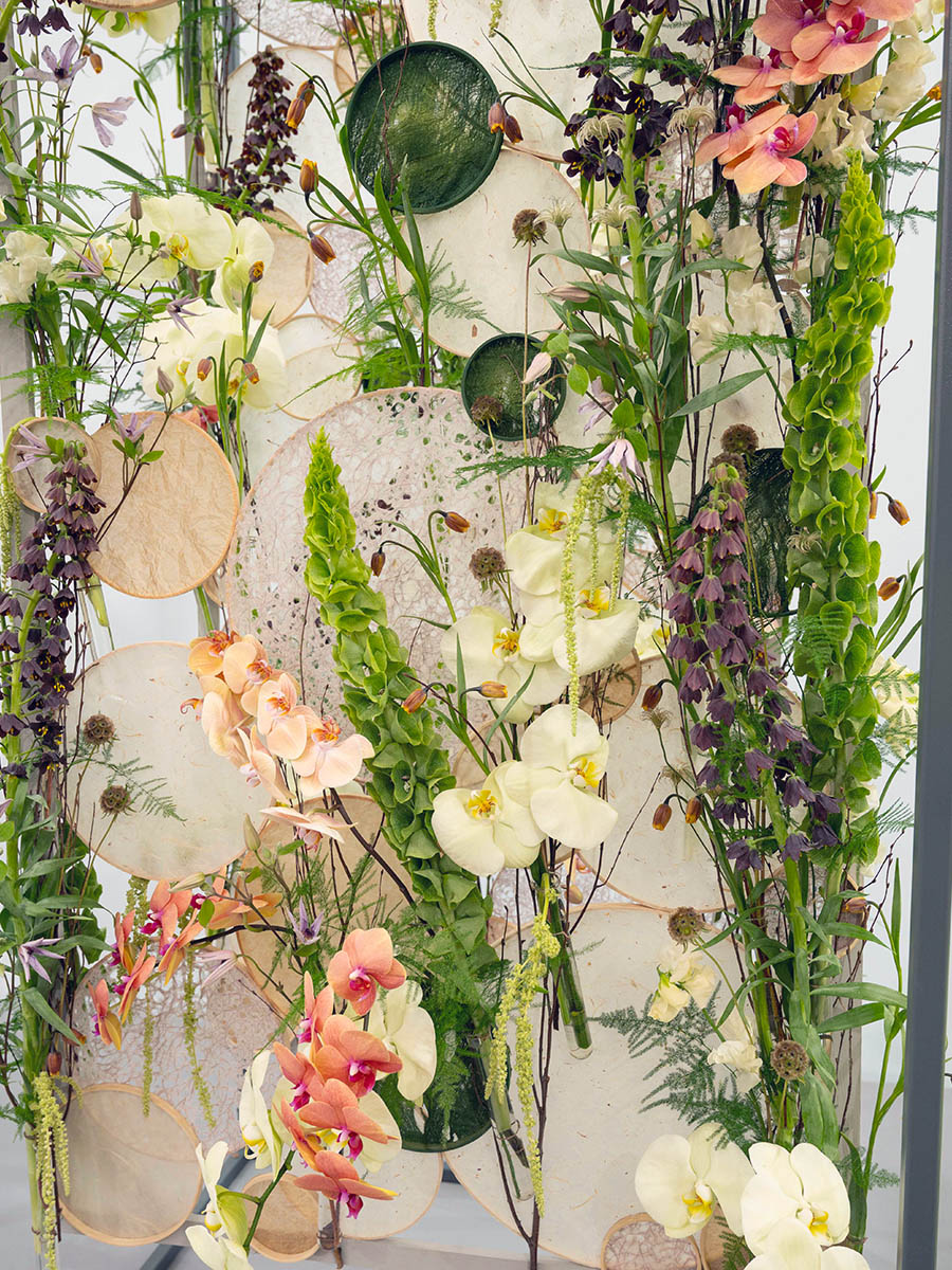 Jade Loftus RHS Chelsea 2026 details Jade Loftus RHS Chelsea 2026 details
