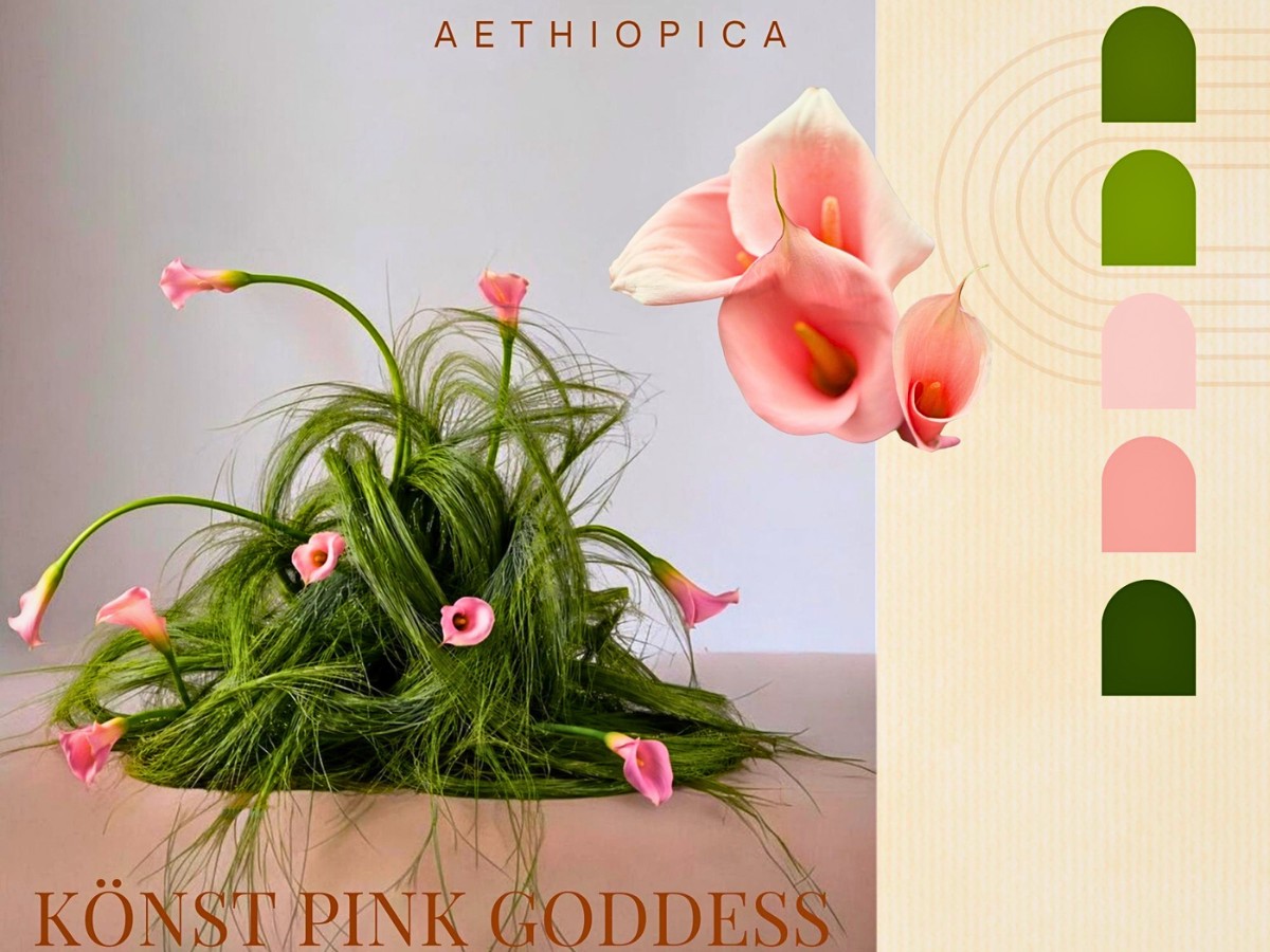Callas in a design Könst Presents Their Two Distinct Calla Lines for Different Market Segments