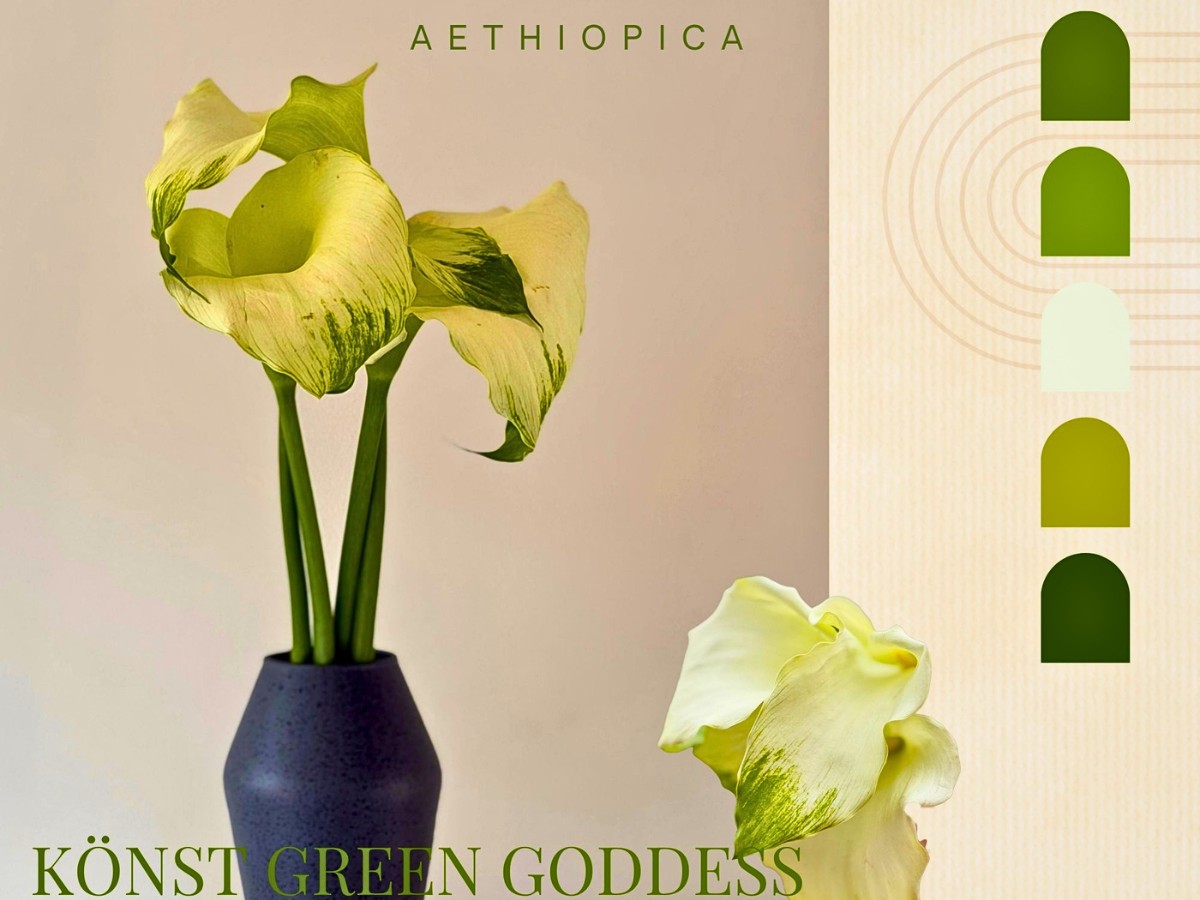 Callas in a design Könst Presents Their Two Distinct Calla Lines for Different Market Segments