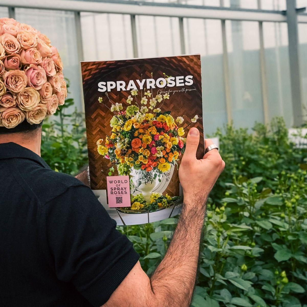 World of Spray Roses