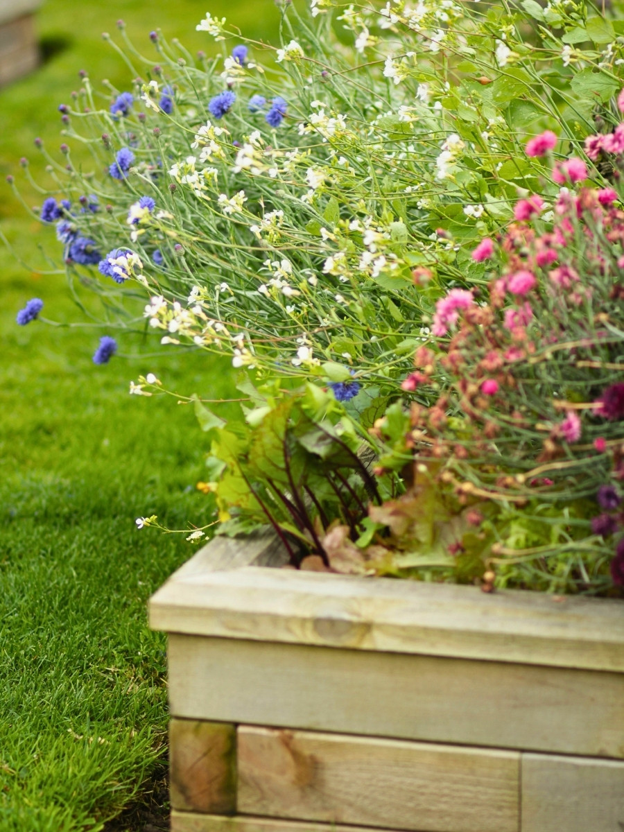The Best Flowers for Small Spaces That Enhance Your Garden Experience