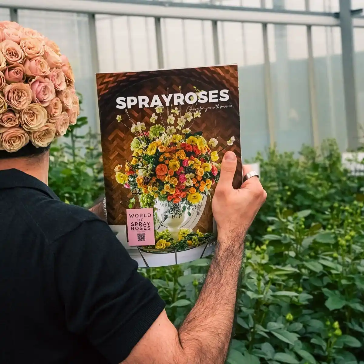 World of Spray Roses