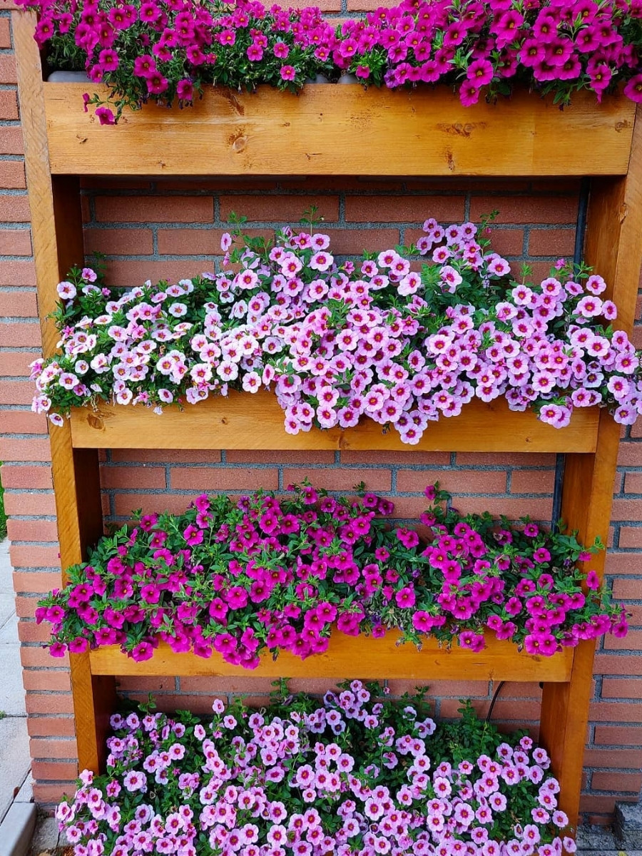 What Flowers Are Best for Small Spaces?
