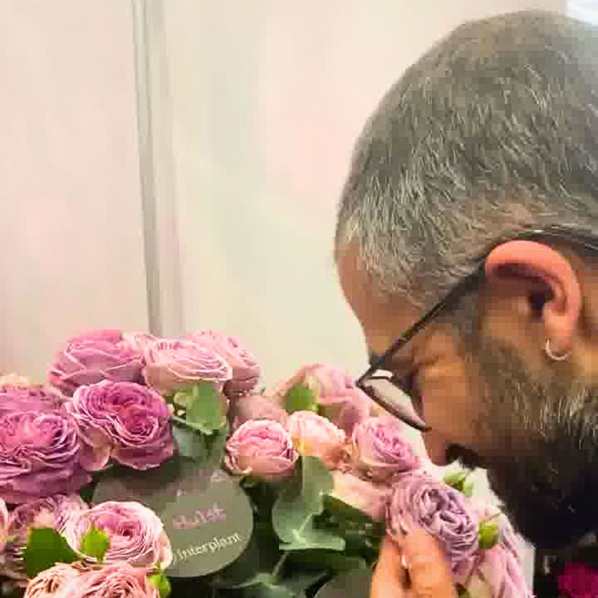 World of Spray Roses