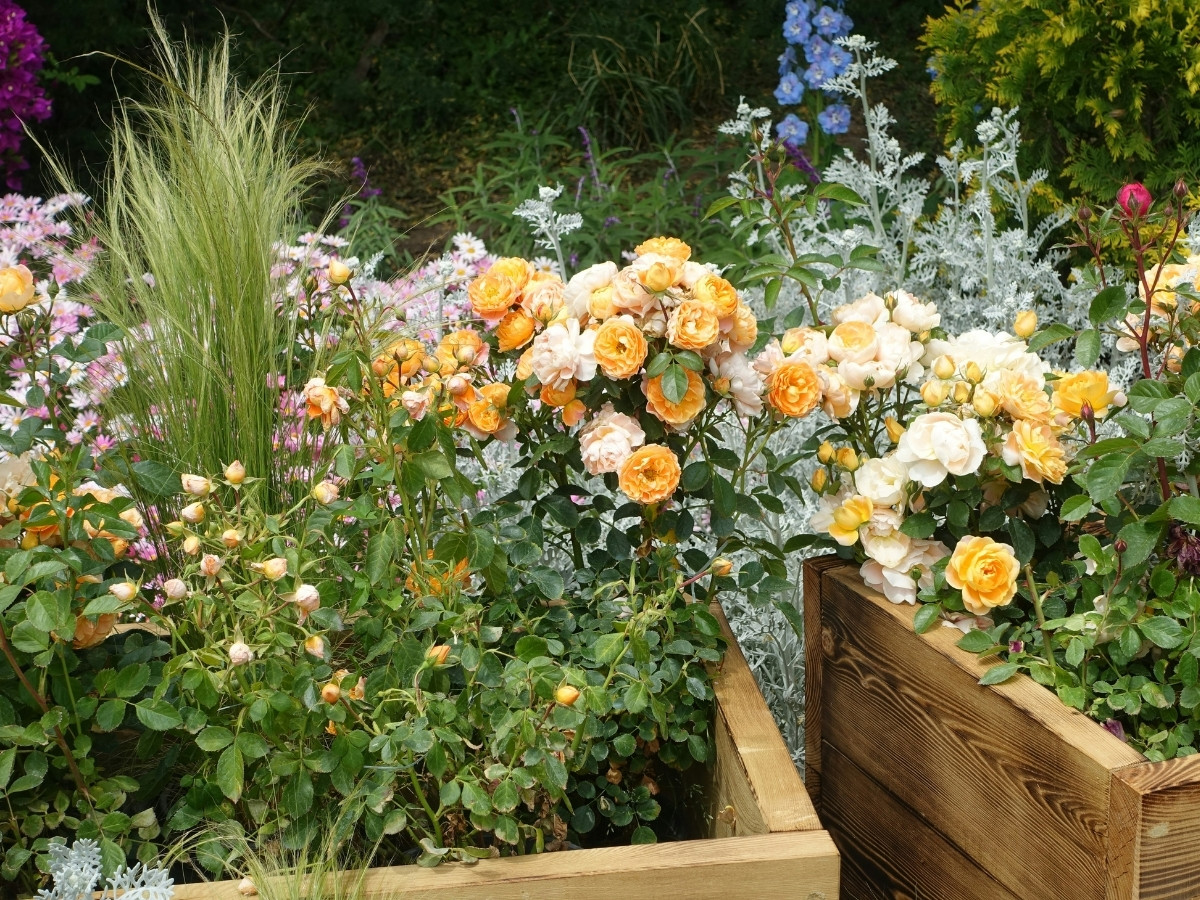 What Flowers Are Best for Small Spaces?