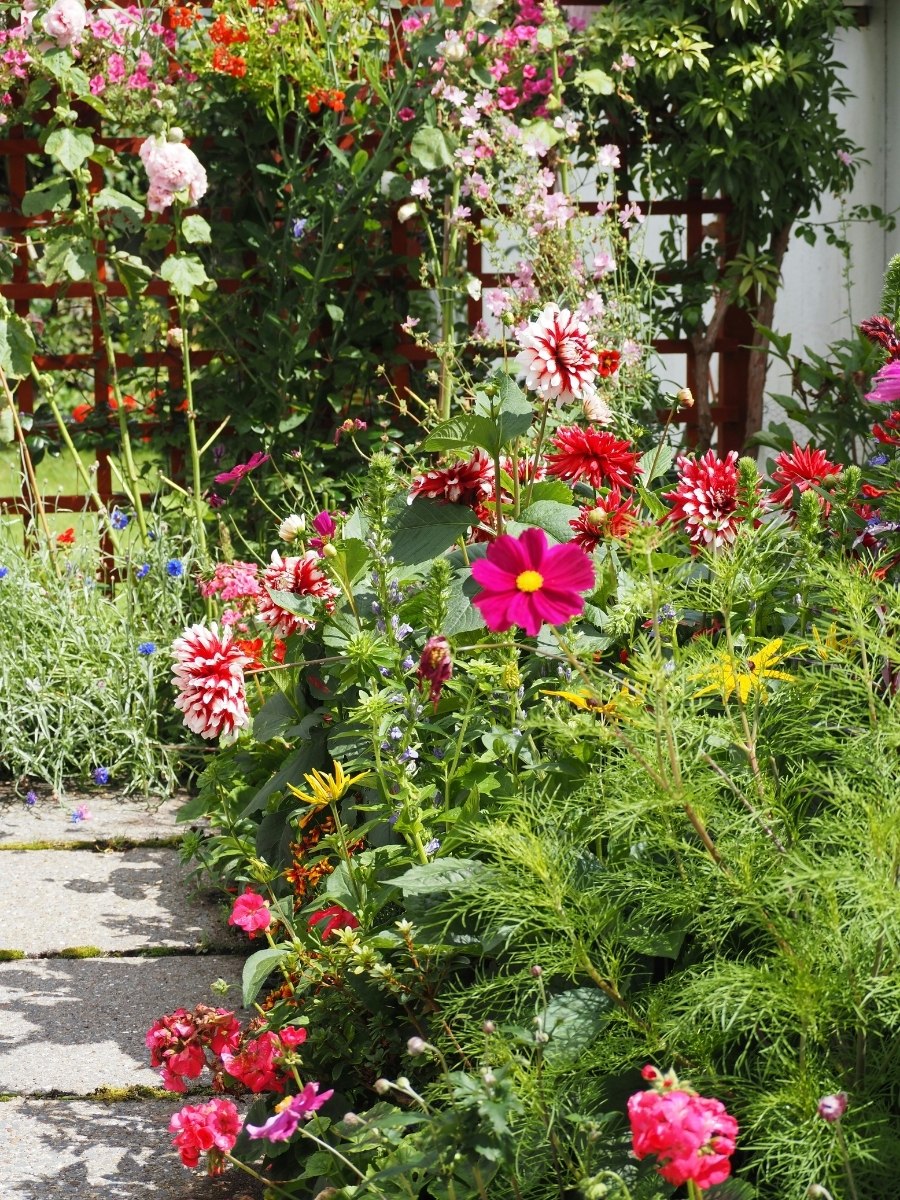The Best Flowers for Small Spaces That Enhance Your Garden Experience