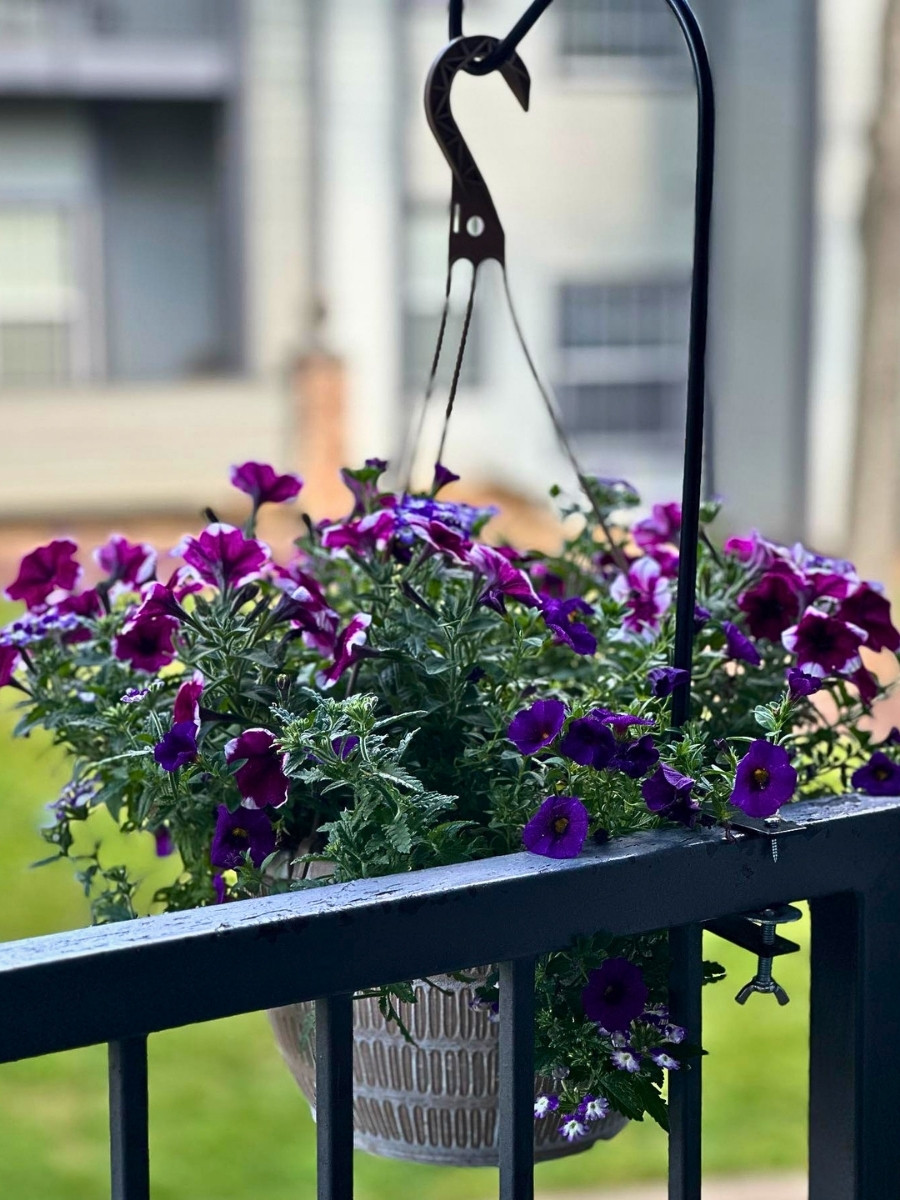 What Flowers Are Best for Small Spaces?