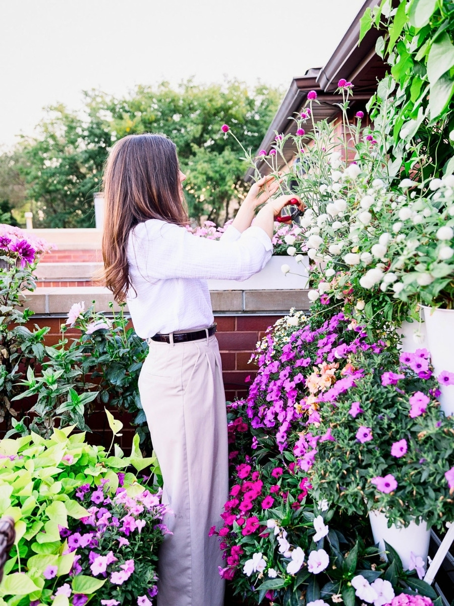 What Flowers Are Best for Small Spaces?