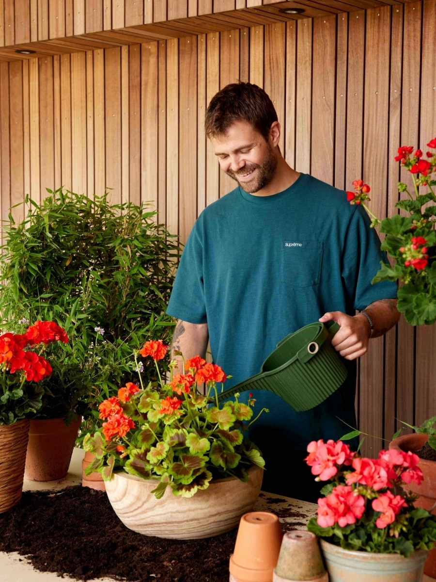 What Flowers Are Best for Small Spaces? Here Are a Few Examples and How to Plant Them