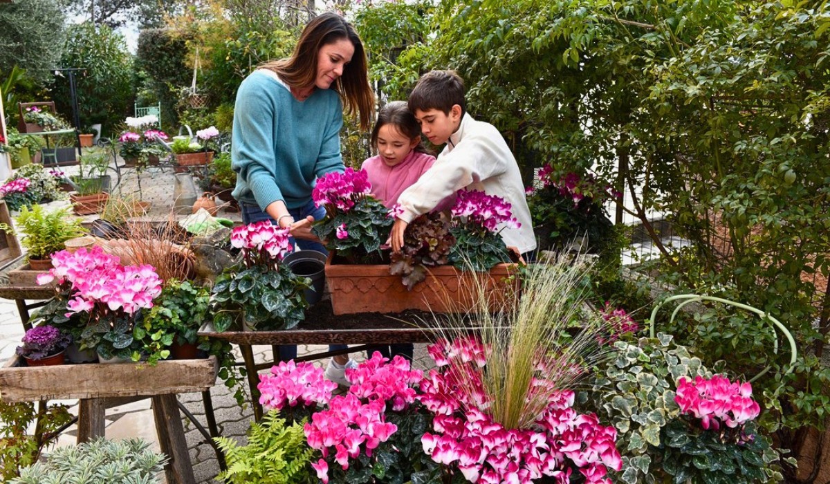 The Best Flowers for Small Spaces That Enhance Your Garden Experience