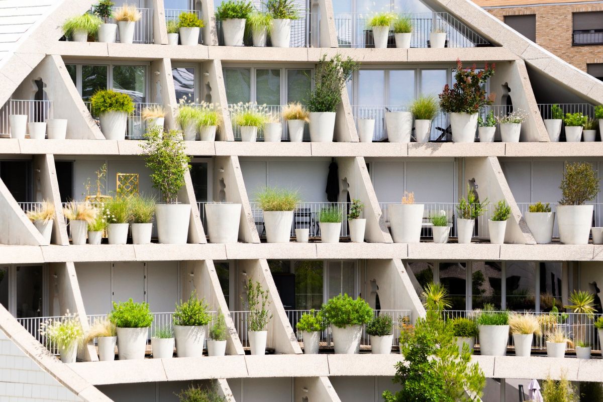 Plant pots in every balcony