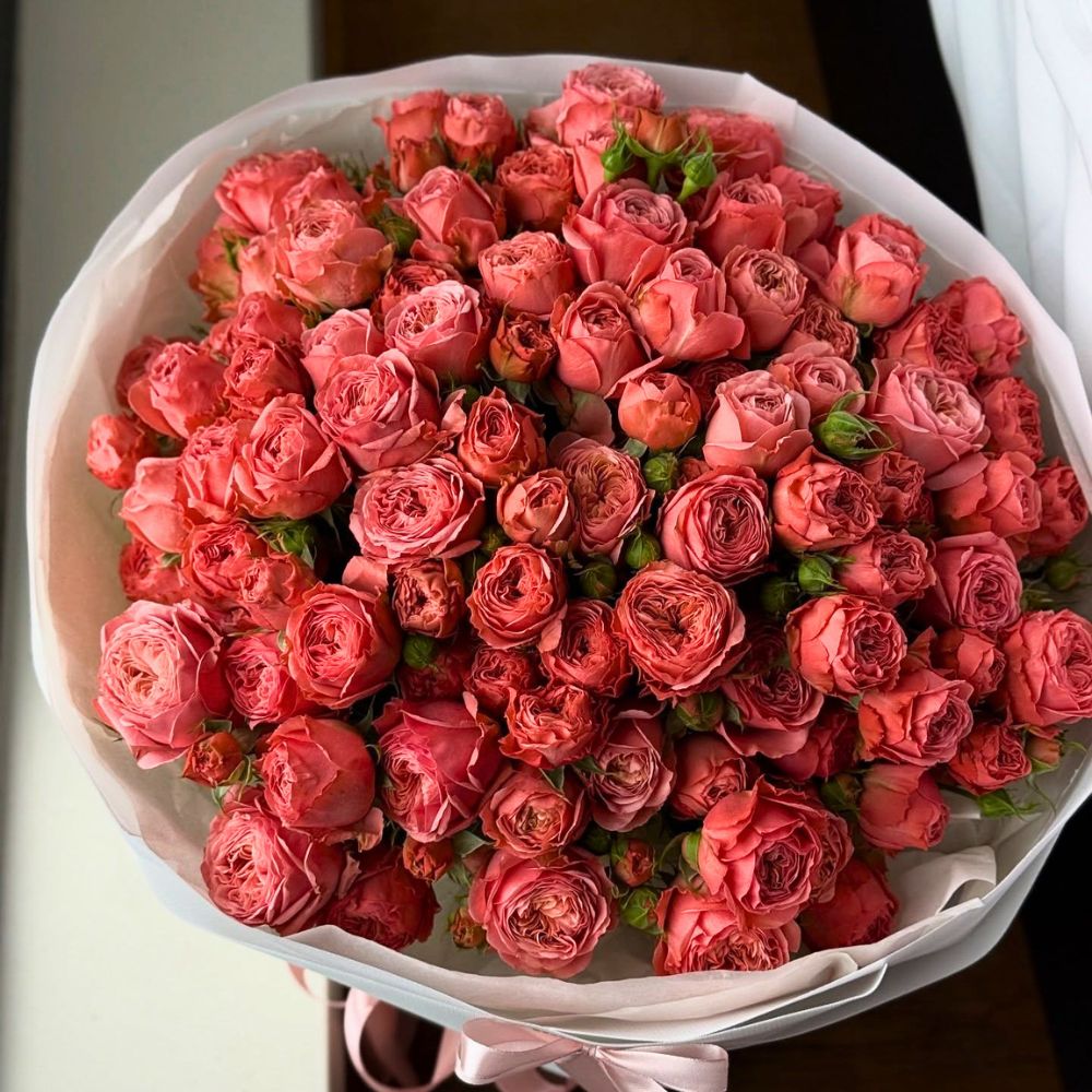 World of Spray Roses
