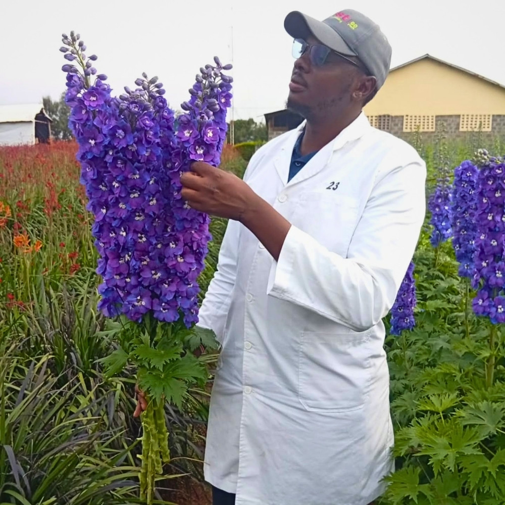 Kenya&rsquo;s Flower Industry&rsquo;s Success Runs on Its People, How Does KFC Ensure Their Welfare?