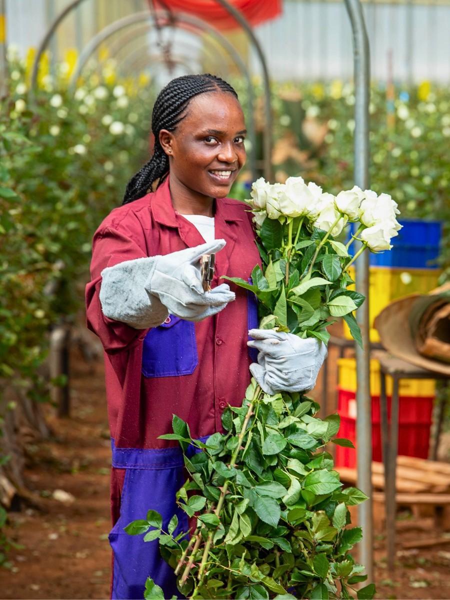 Kenya&rsquo;s Flower Industry Remains Successful Despite Headwinds as Shown by IFTEX 2026. Here&rsquo;s How Kenya Flower Council (KFC) Ensures the Well-Being of Kenyan Flower Workers.
