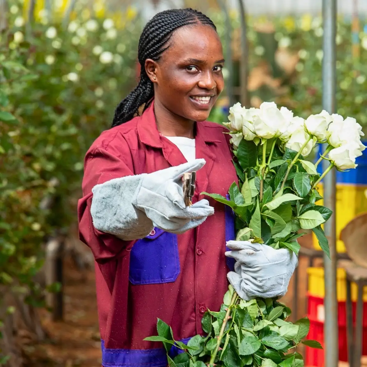 Kenya’s Flower Industry Remains Successful Despite Headwinds as Shown by IFTEX 2026. Here’s How Kenya Flower Council (KFC) Ensures the Well-Being of Kenyan Flower Workers.