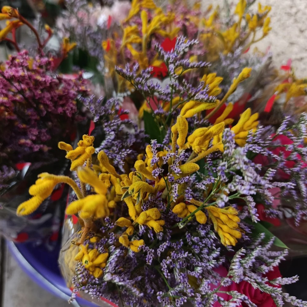 De Ruiter Promoting the Wider Adoption and Use of Anigozanthos (Kangaroo Paw) in Floral Design.