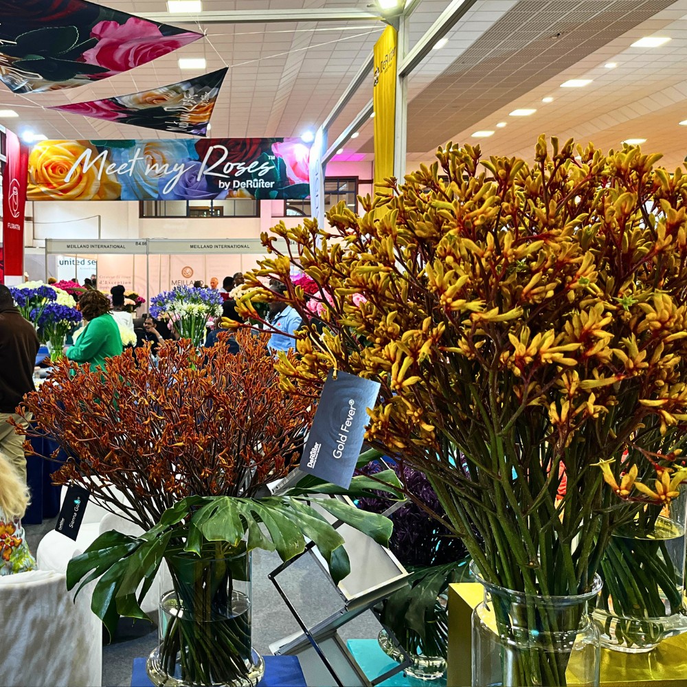 De Ruiter Promoting the Wider Adoption and Use of Anigozanthos (Kangaroo Paw) in Floral Design.