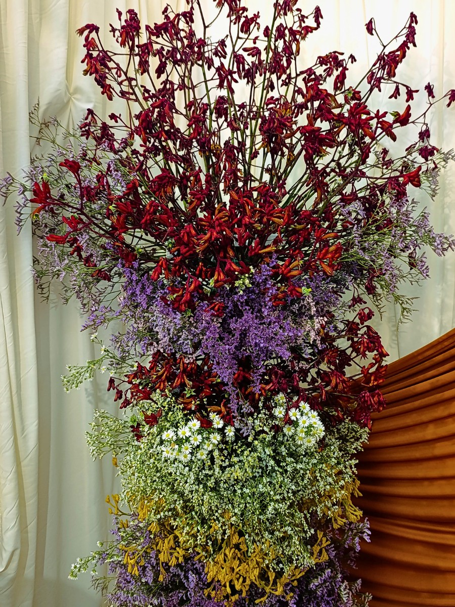 Anigozanthos design. De Ruiter Promoting the Wider Adoption and Use of Anigozanthos (Kangaroo Paw) in Floral Design.