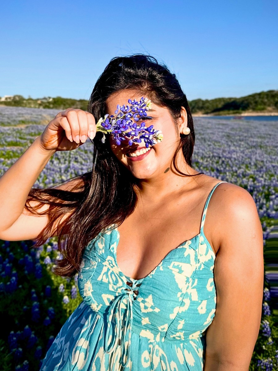 Bluebonnet the Texas State Flower
