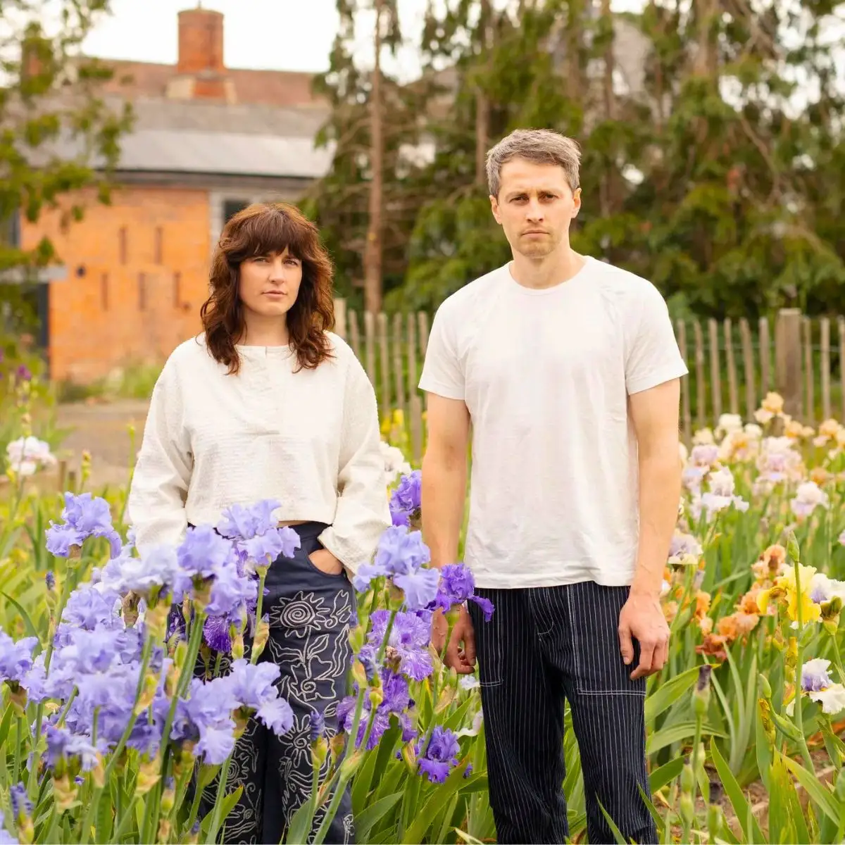 Vervain flowers owners