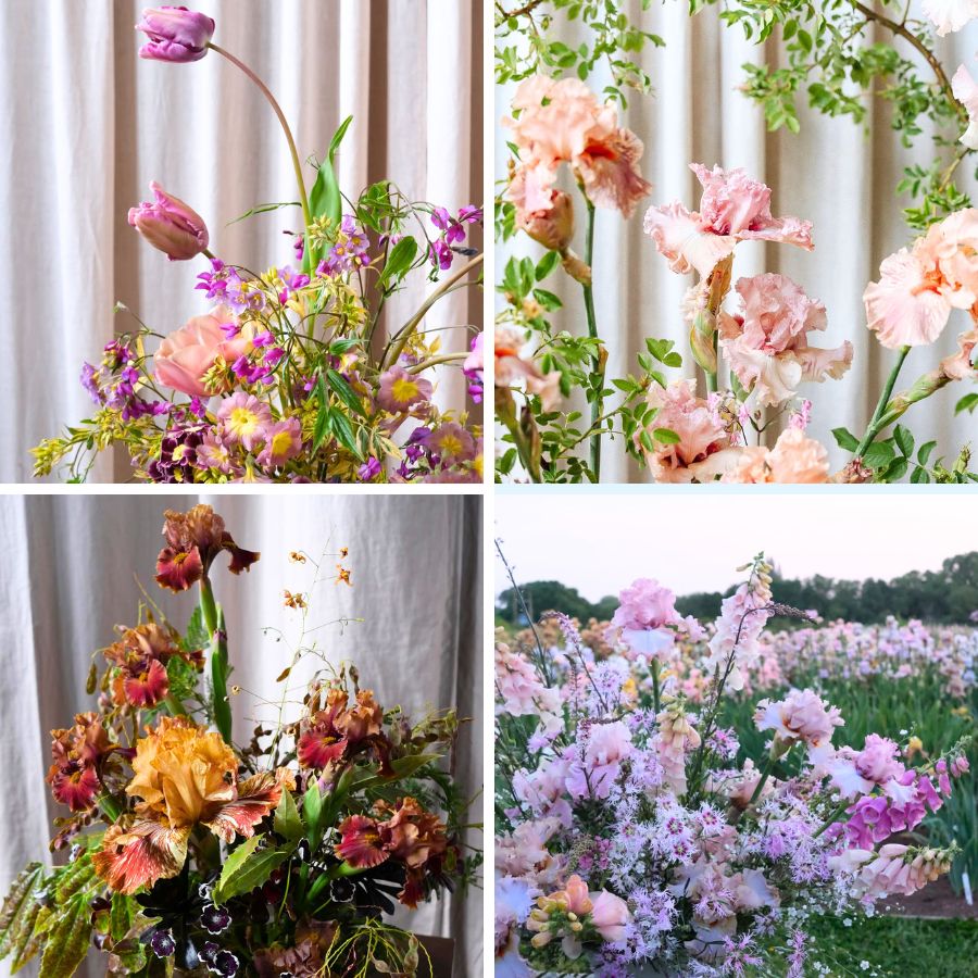 Floral designs by Vervain Flowers
