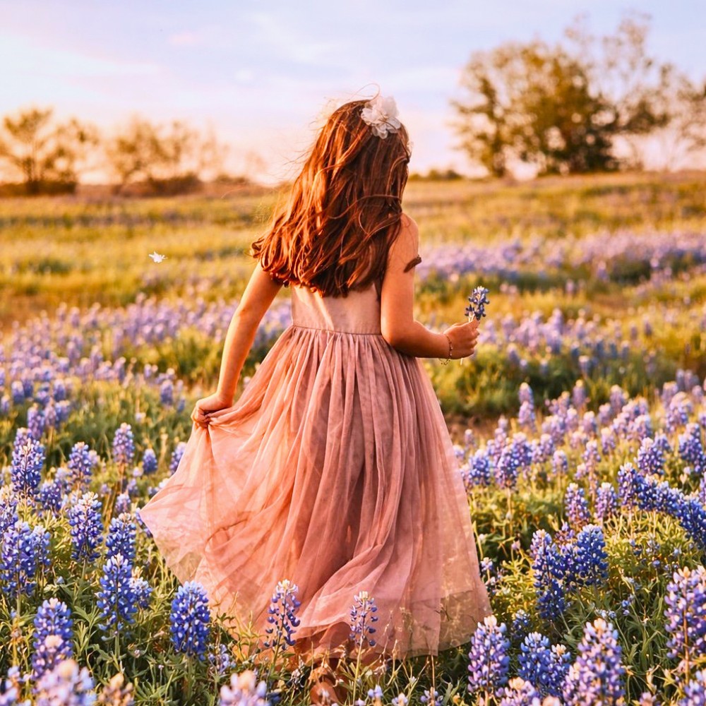 Bluebonnets, the Official Texas State Flower.