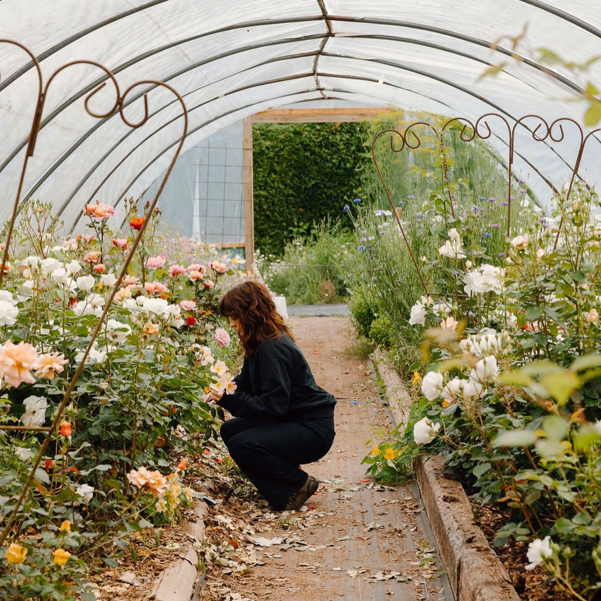 India Hurst in her garden