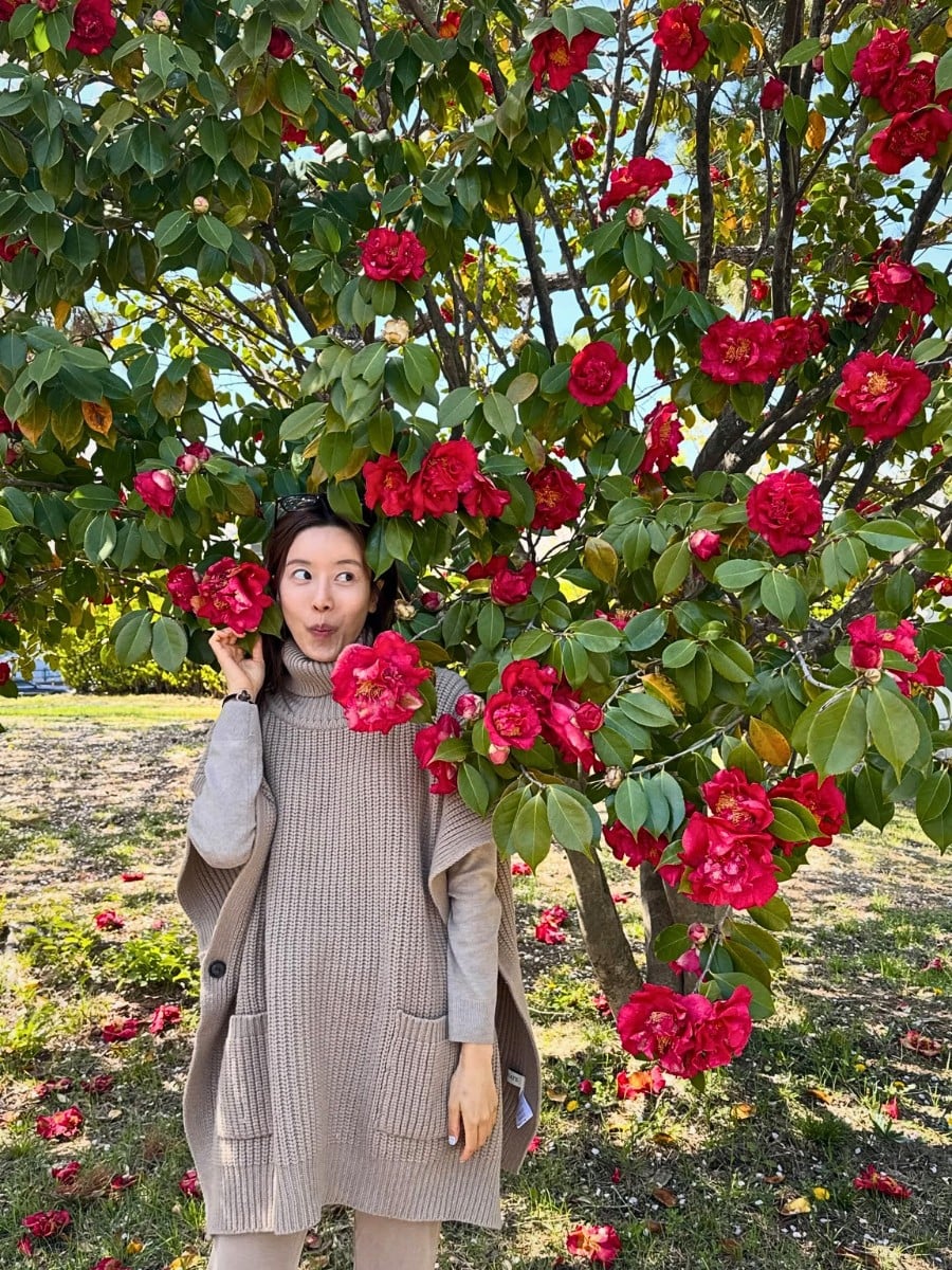 What Is the Alabama State Flower? Camellia Japonica Is the Official State Flower of This Cotton State