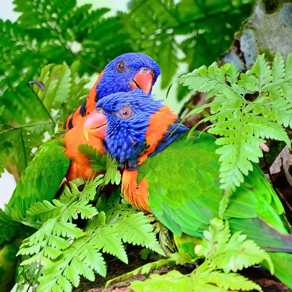 World Rainforest Day Is a Celebration of Our Jungles and Green Guardians.