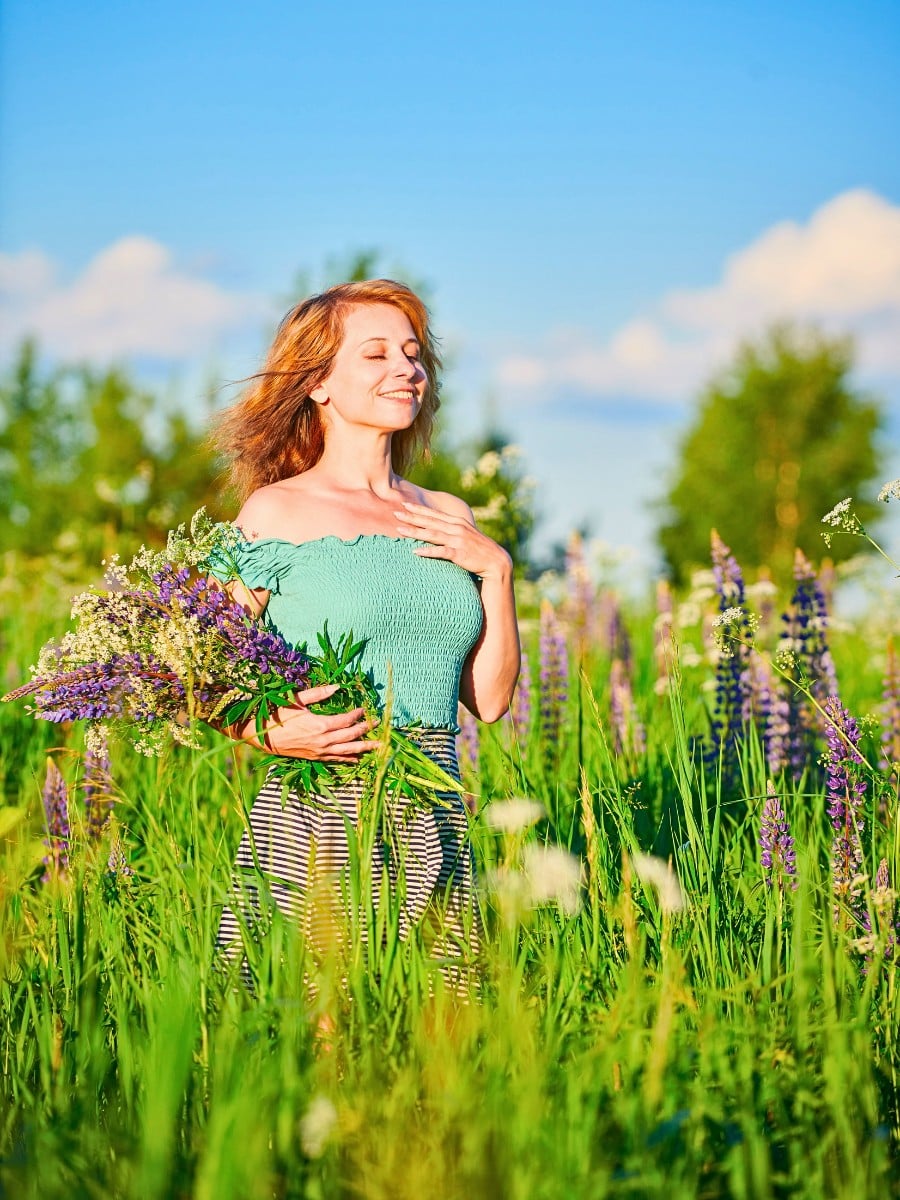 Classic Summer Flowers Ideal for Planting and Potting