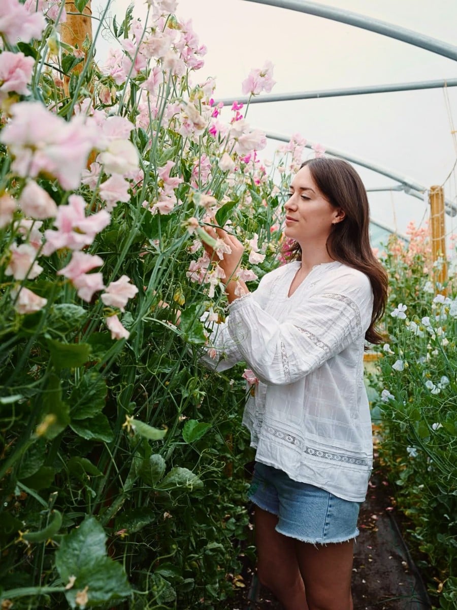 Find the Best 10 Summer Flowers That Bloom All Summer
