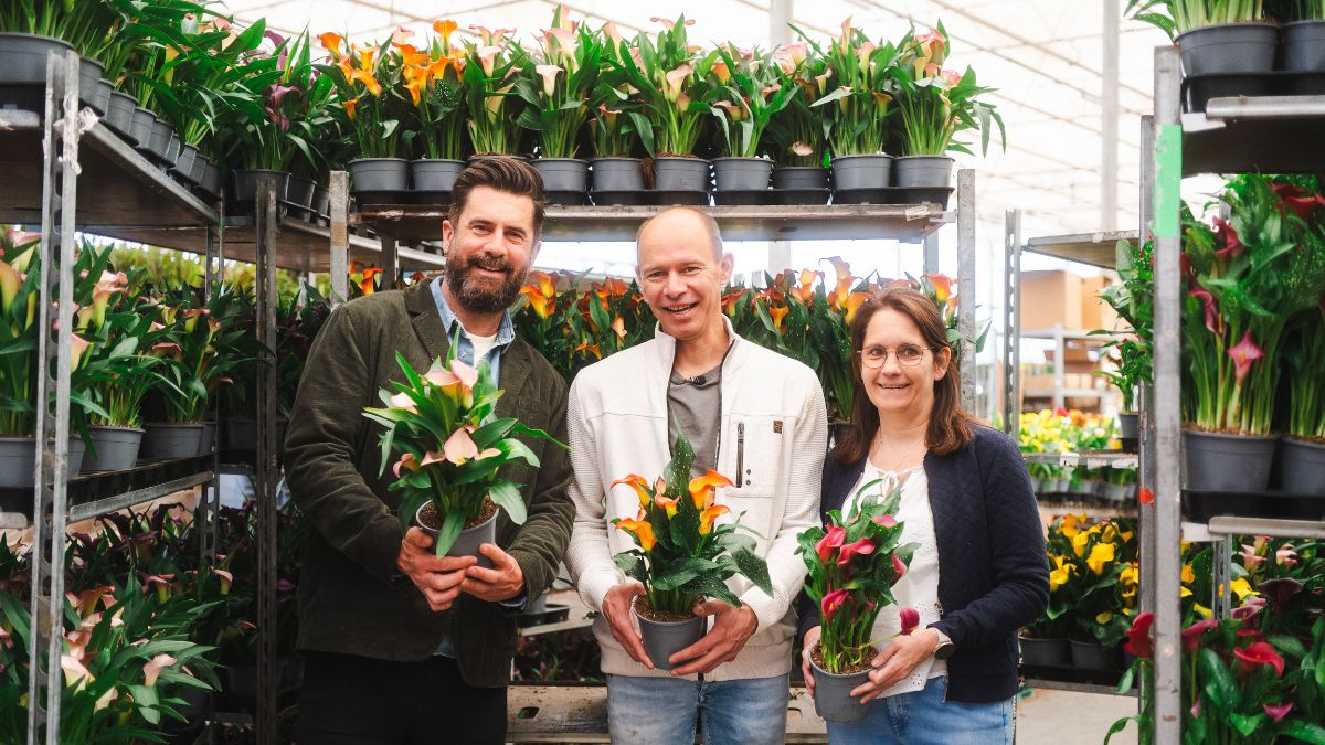 Michael Perry Grower For A Day with Decorum and Vreugdenhil Bulbs & Plants
