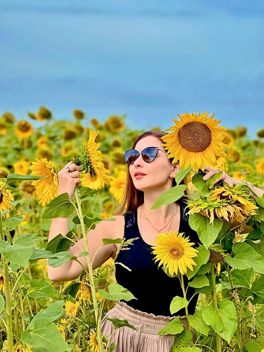 10 Classic Summer Flowers for Garden Planting and Potting