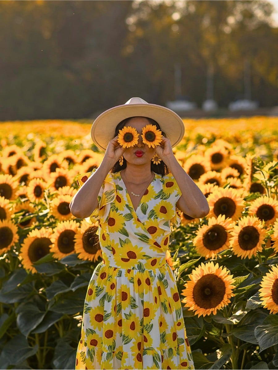 10 Classic Summer Flowers for Garden Planting and Potting