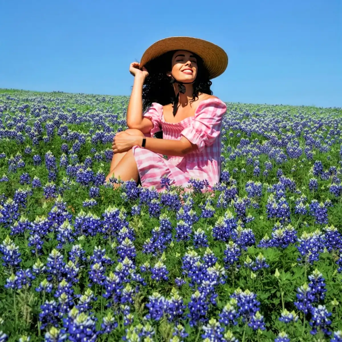 Texas State Flower