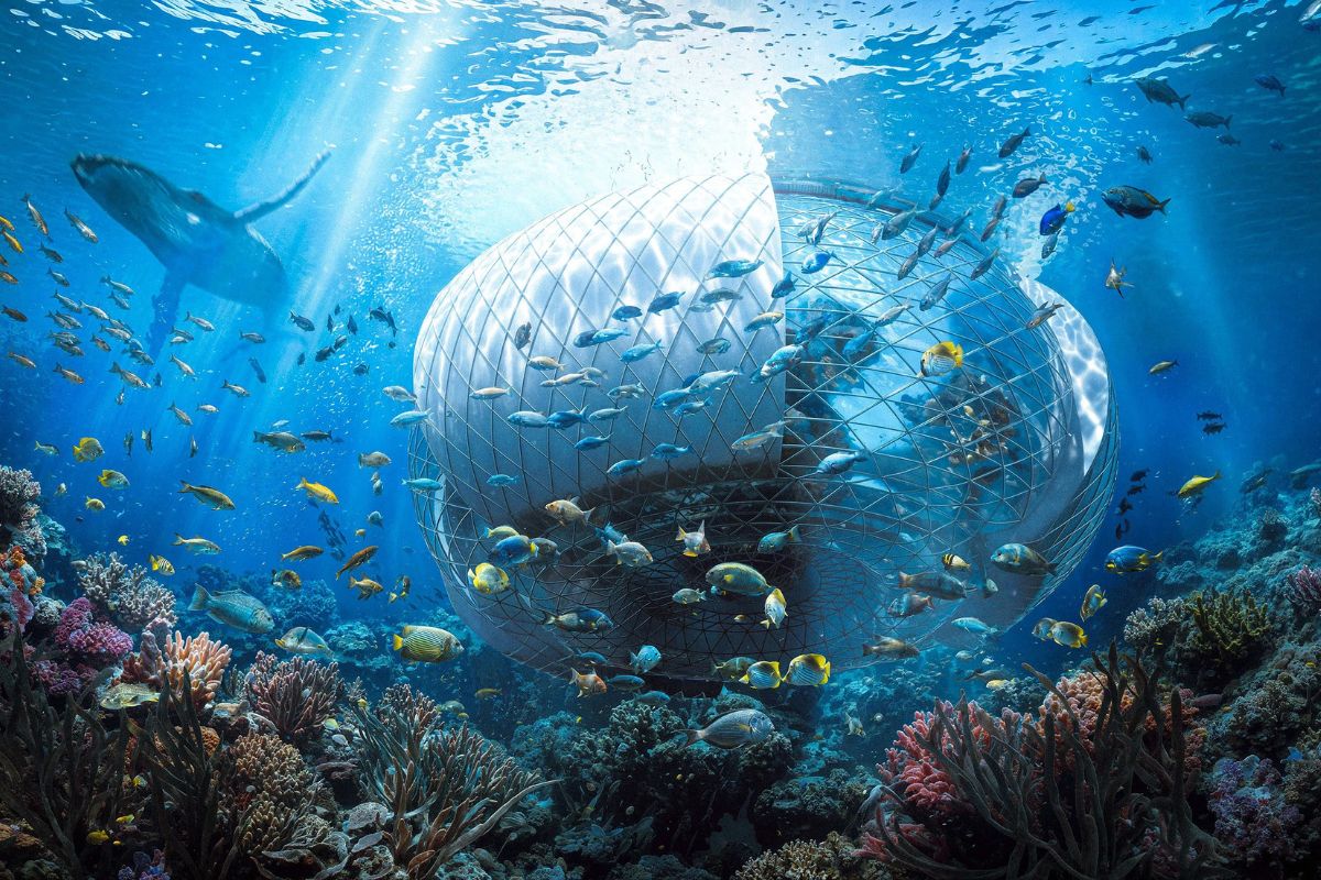 Render of marine life and underground dome