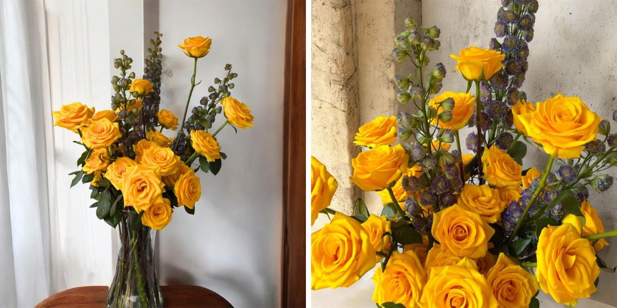 Closeup of Happy Mood roses