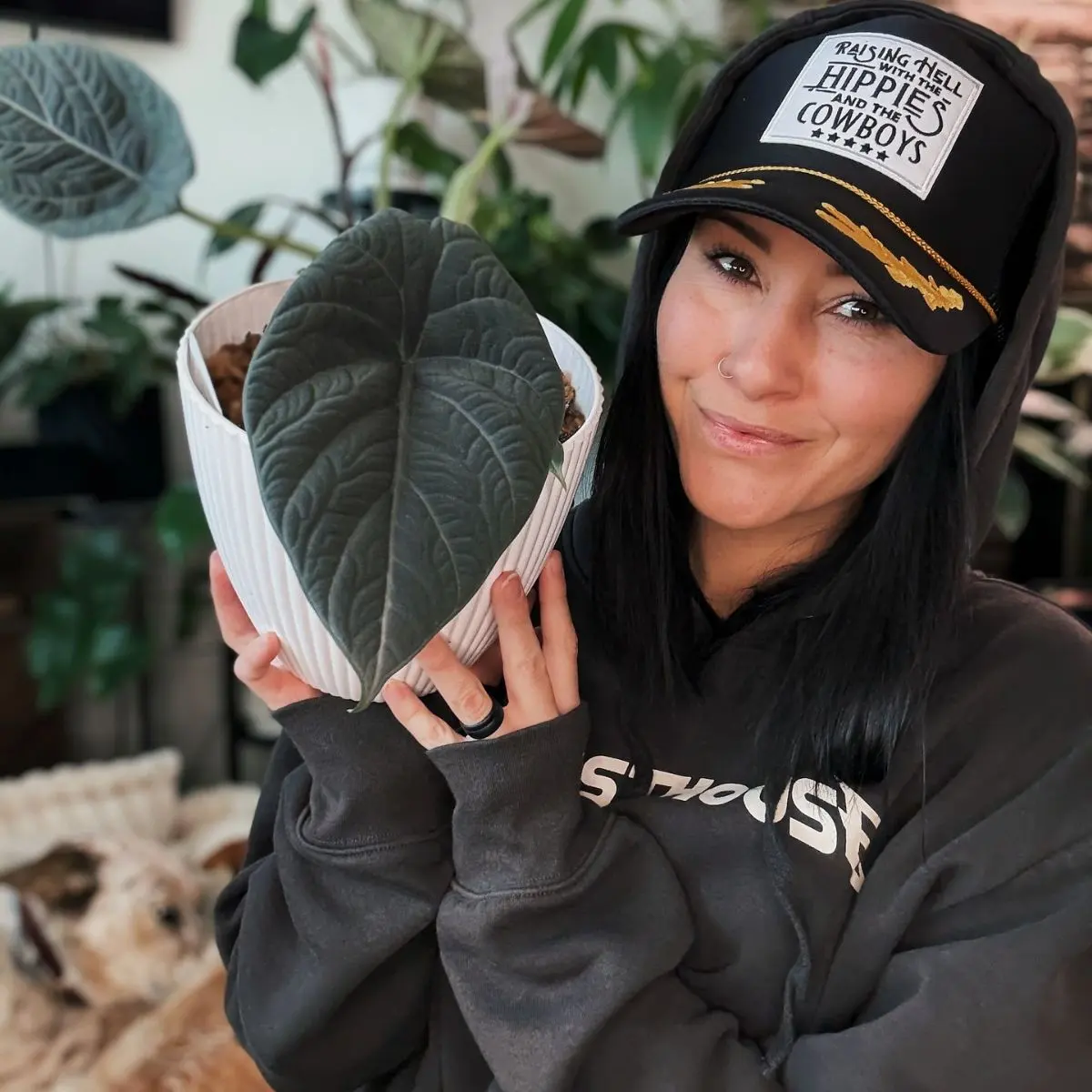 Plant Lovers