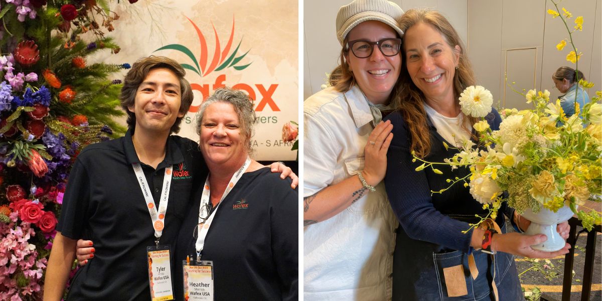 Wafex at Fun n Sun and floral design