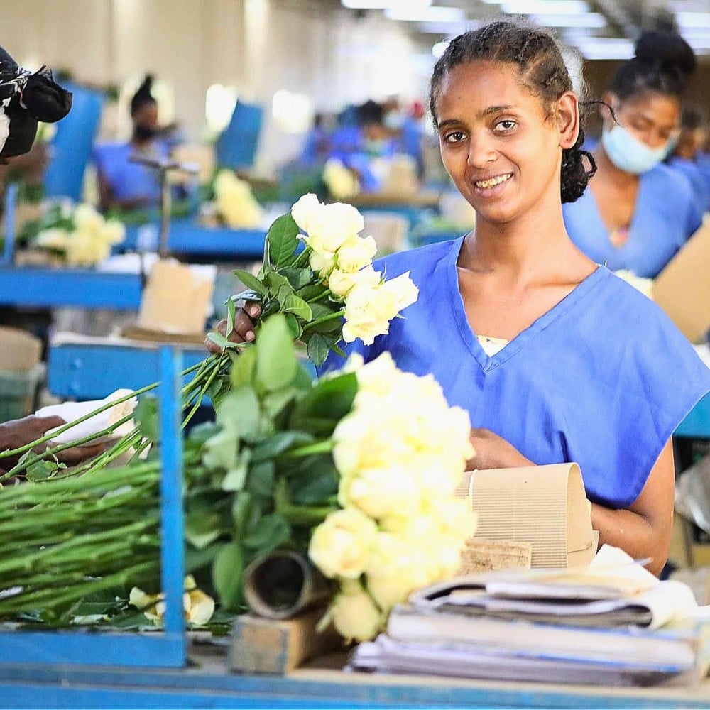 Through its specialized Code of Practice (CoP) and targeted structural initiatives, EHPEA is systematically transforming labor standards across its member farms