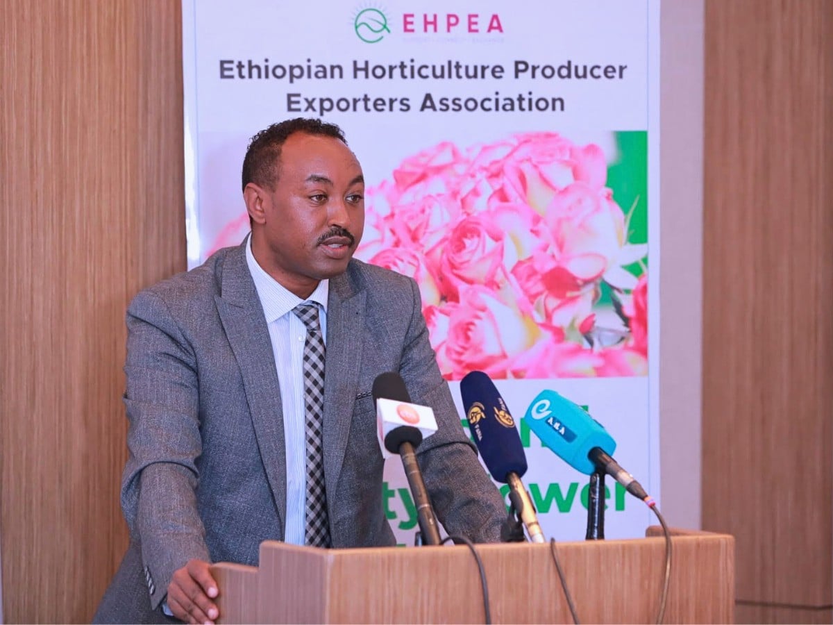Through Its Code of Practice, Ethiopian Horticulture Producer Exporters Association Ensures That Flower Farm Workers Are Protected, Fairly Treated, Paid Well, and Given Opportunities to Grow